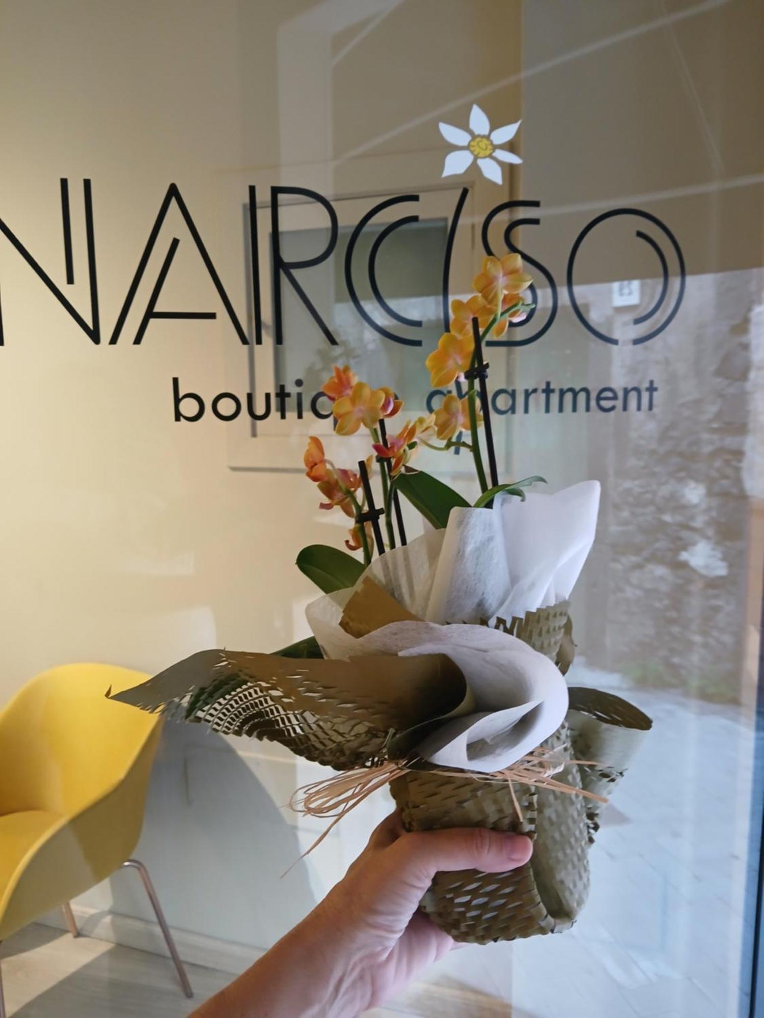 Narciso Boutique Apartment Acireale Ngoại thất bức ảnh